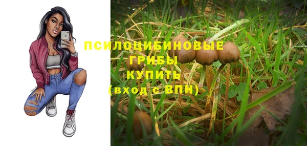 молекула духа Аркадак