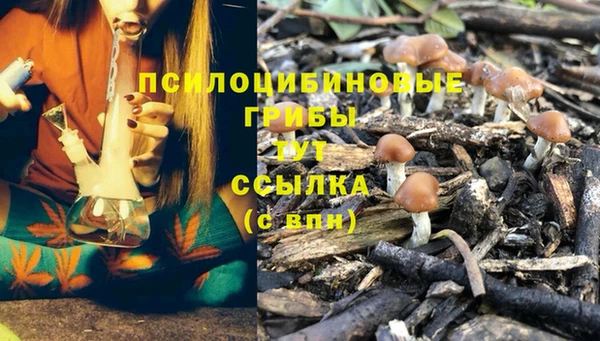 каннабис Армянск