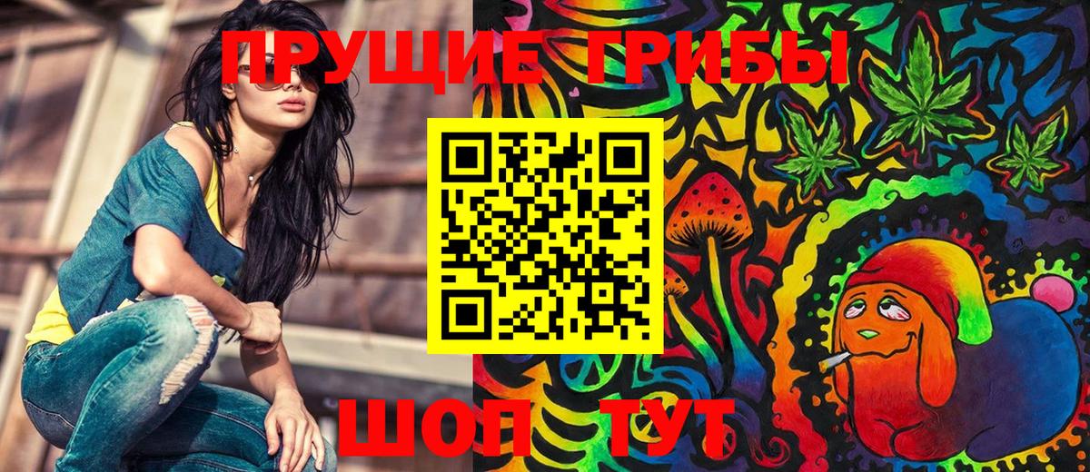 Галлюциногенные грибы GOLDEN TEACHER Коммунар